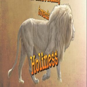 The Lion's leading towards Holiness (paperback)